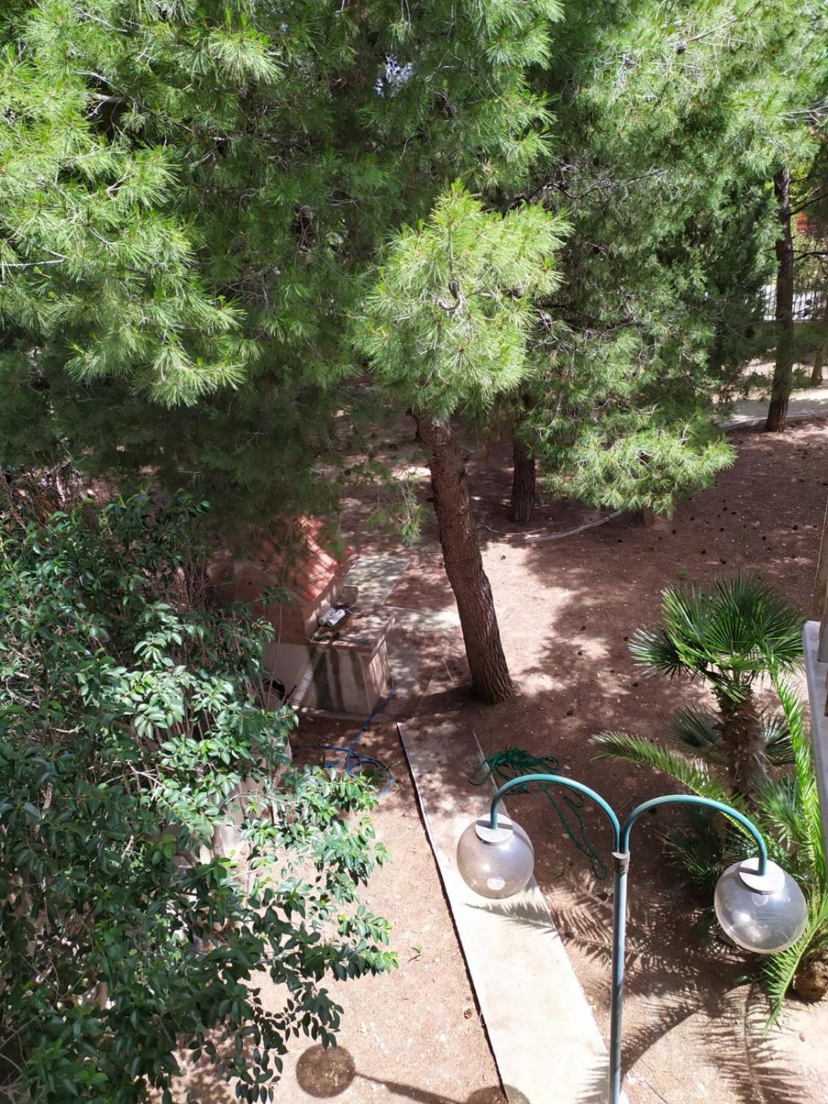 Bed and Breakfast Terra Bianca Трани Номер фото